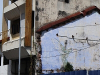 イポー ウォールアートNo.4 ハチドリ