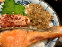 京のお出汁めし かつを