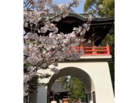 荒井神社