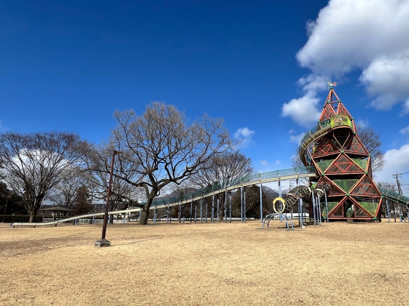 ロード宮城総合運動場