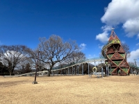 ロード宮城総合運動場