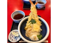 本格手打うどん おか泉