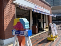 ブルーシールカフェ恵比寿ガーデンプレイス