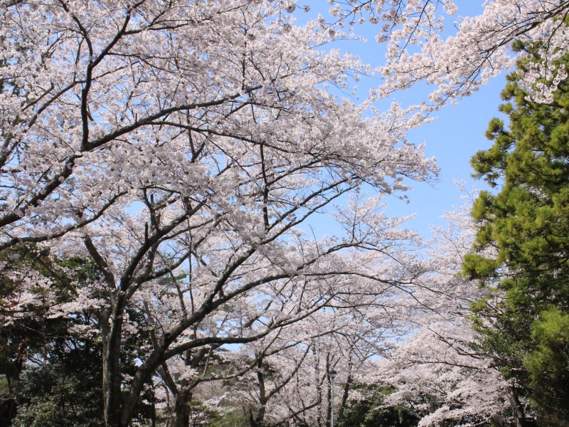 つま恋リゾート彩の郷