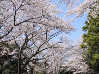 つま恋リゾート彩の郷