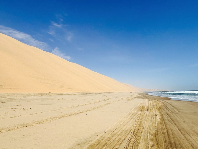 サンドイッチハーバー