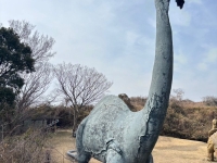 森林恐竜公園