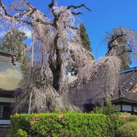 慈雲寺