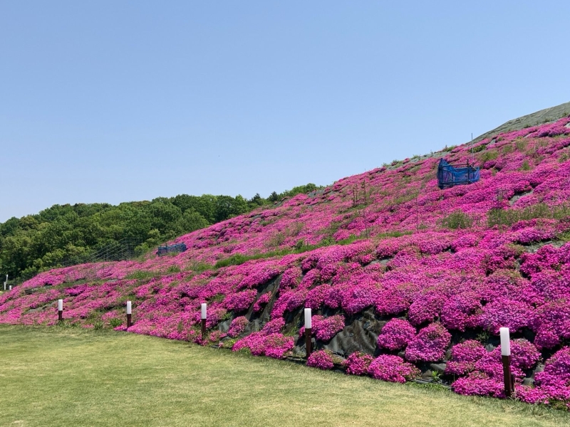 しあわせの森公園