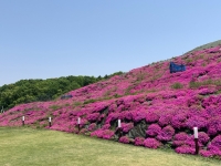 しあわせの森公園
