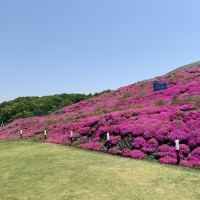 しあわせの森公園