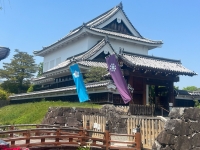 勝竜寺城跡