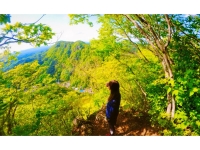 袋田自然研究路