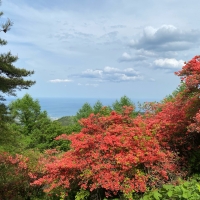 田束山つつじ園