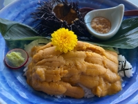 レストランシーサイド