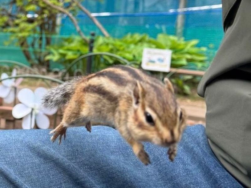 オホーツクシマリス公園