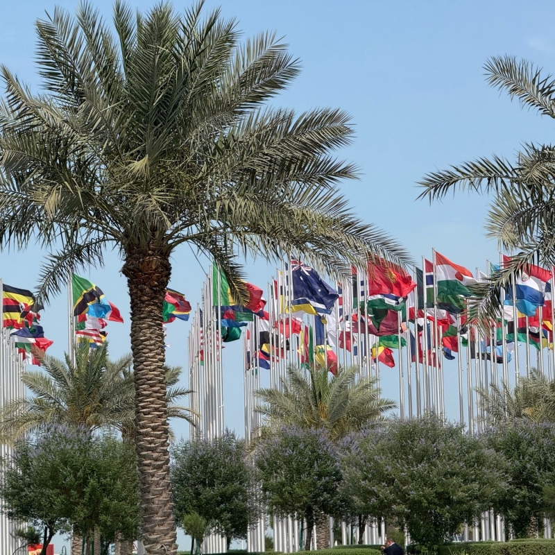 カタール国立博物館