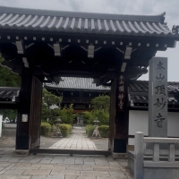 日蓮宗 洛東本山 頂妙寺