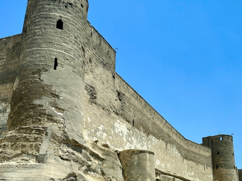 サラ・エル・ディンのシタデル