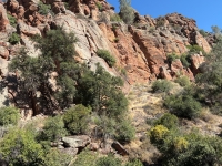 ピナクルズ国立公園