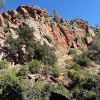 ピナクルズ国立公園