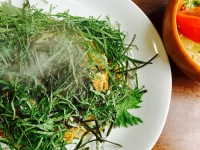 フォーシーズン