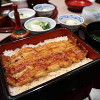 特別食堂 日本橋