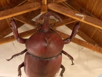 豊里ゆかりの森