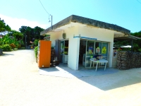 かつおばさんの店 たきどぅん