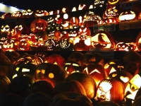 スカイプラザミサワ