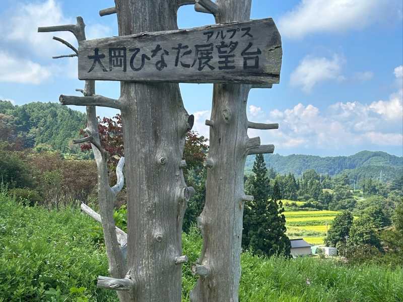 長野大岡ひなたダリア園