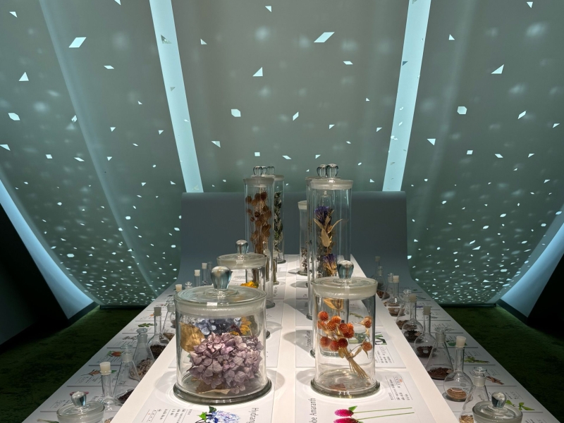 中冨記念くすり博物館