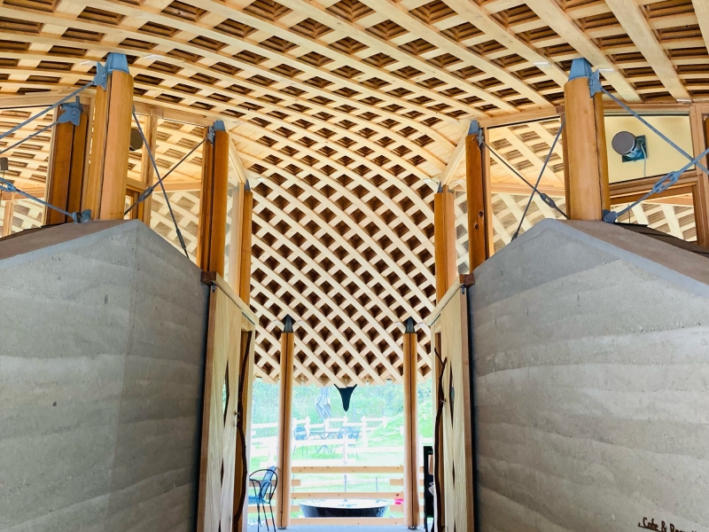 メタセコイアと馬の森