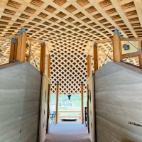 メタセコイアと馬の森